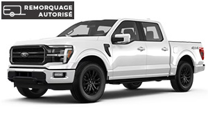 Location-de-camionnettes-et-pickups_Van-Pro-Location_Repentigny(2)